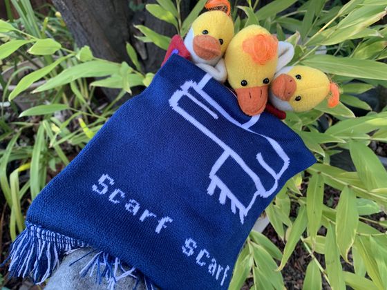 Cover image for Introducing Scarf - a fresh approach to software distribution & observability 